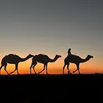 Desert Stars Camp