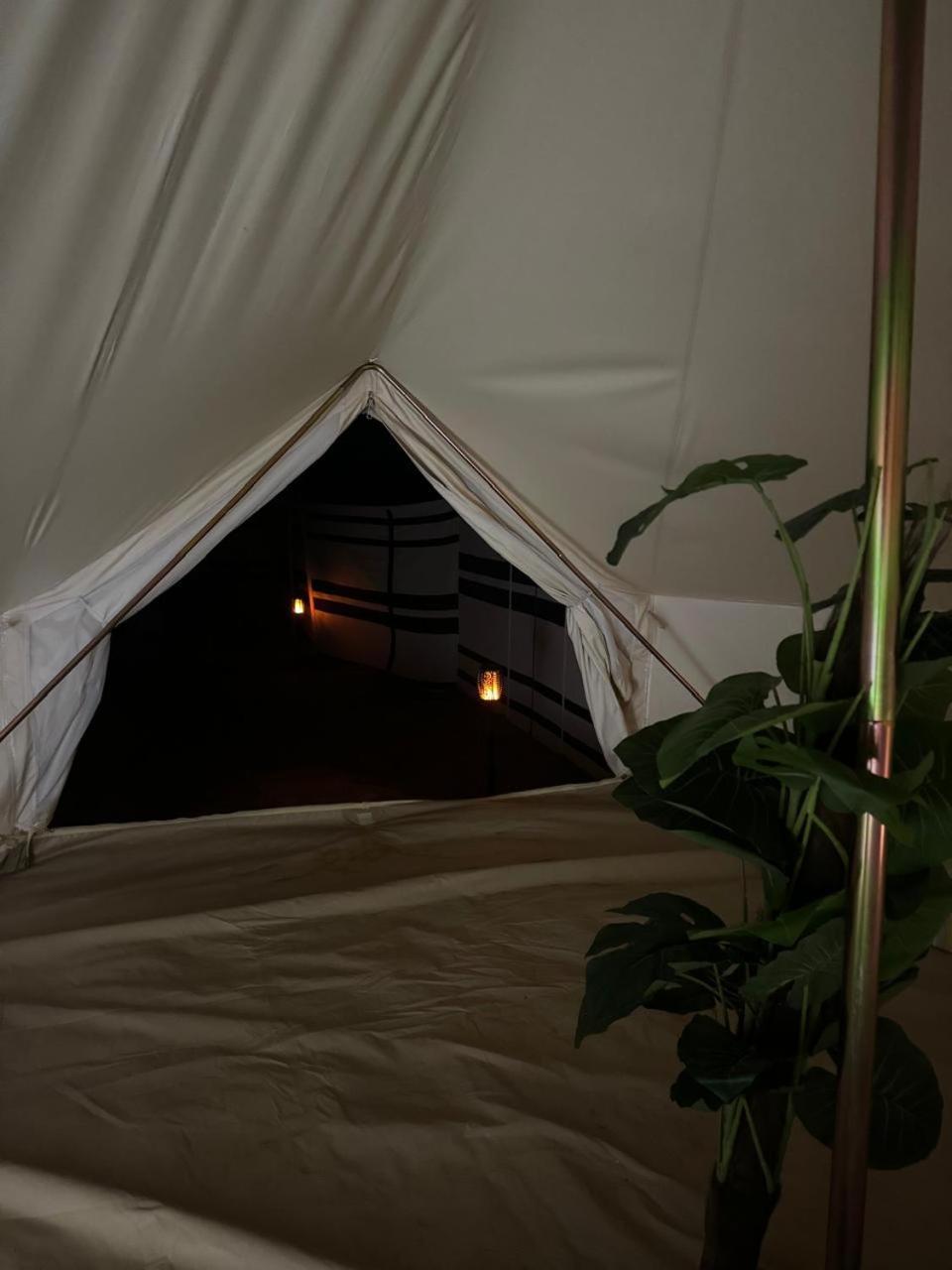 Desert Stars Camp Badīyah