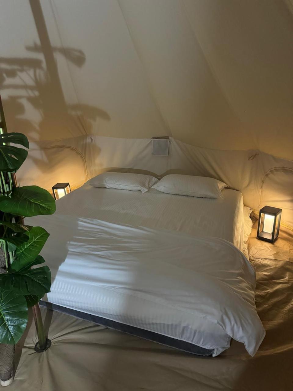 Desert Stars Camp Tente de luxe